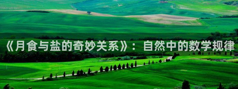 威九国际游戏入口