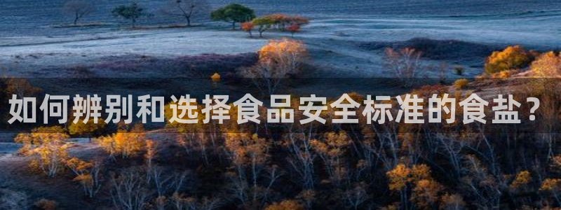 保定威九网络科技有限公司是干嘛的