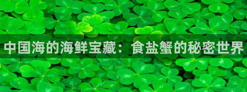 威九国际ppt免费吗