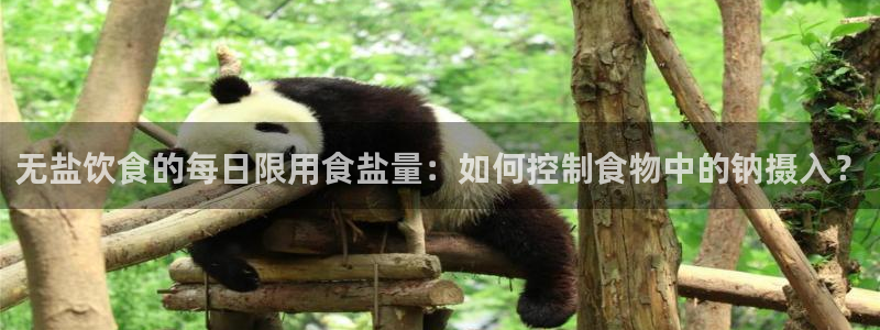 保定威九网络科技有限公司是干嘛的