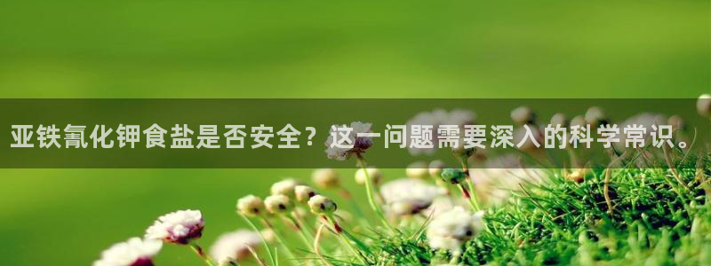 威九国际的金融服务