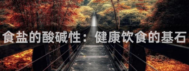 保定威九网络科技有限公司怎么样