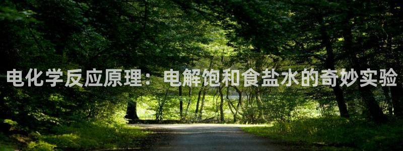 威九国际电影HD