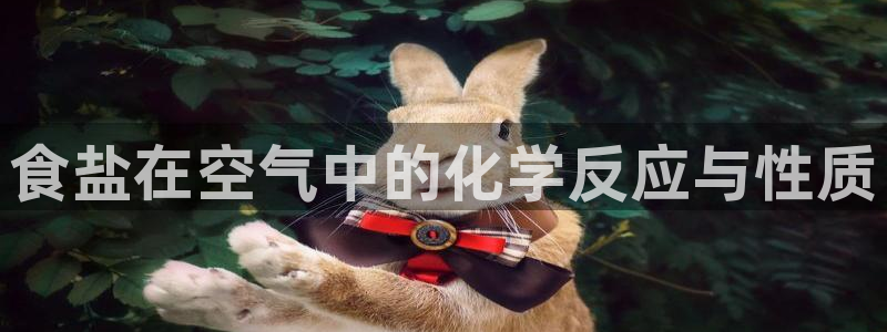 威九国际女孩