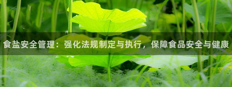 威九国际惠子
